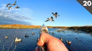 Solo DUCK HUNTING A Tiny Slough | The Perfect MIXED BAG Limit?!