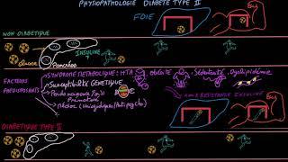 Diabète de type II - Pathophysioplogie - Docteur Synapse