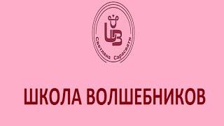 Лечение руками. Развитие целительских способностей. Школа волшебников Светланы Сарасвати