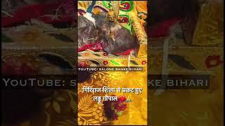 गिरिराज शिला से प्रकट हुए लड्डू गोपाल ️ #bankebihari #shorts #bankebiharishorts #radhakrishna