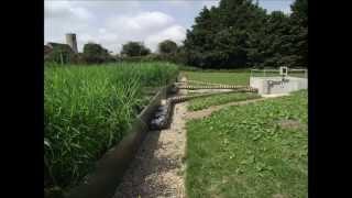 GWT modular reed beds