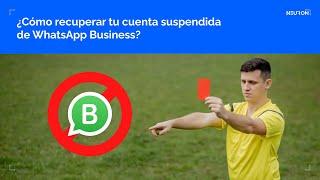 ¿Cómo recuperar tu cuenta suspendida de WhatsApp Business?