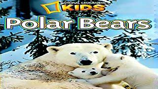 ‍️Polar Bears Read Aloud for Children