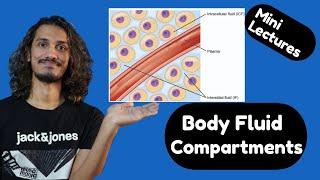 Body fluid compartment : Intracellular fluid, extracellular fluid, intracellular fluid