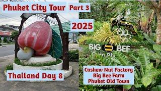 Phuket City Tour Part 3 Cashew Nut Factory,Honey Bee Farm,Phuket Old Town #travel #thailand #phuket