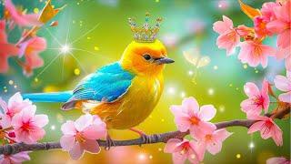 Relaxing Bird Sounds 4K~ Birdsong Helps improve Memory and Relax the Brain  Heal the Heart And Soul