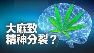 吸大麻會引發精神分裂症？哪個人群更要小心？