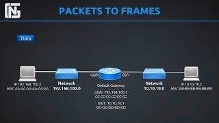 Routers, Switches, Packets and Frames