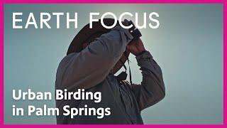 Urban Birding in Palm Springs | Earth Focus | PBS SoCal