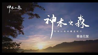 神木之森幕後花絮｜神木之森：阿里山森林鐵道紀行