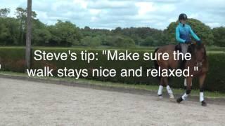 Steve Wallace | How to be an effective rider | HorseandRider UK