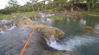 Fishing the Guadalupe River Texas! Finding Hidden Waterfalls! Do these spots have Bass?