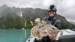 600 mi Alaska Road Trip - Eating What I Catch