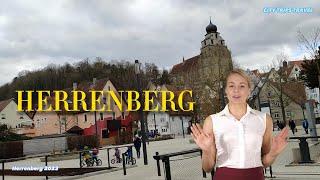 HERRENBERG GOPRO 2023 / Herrenberg in Germany