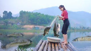 Casting Nets To Catch Many Big Fish On The Big Lake - Harvest many fish go to market sell