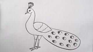 how to draw peacock drawing easy step by step@Kids Drawing Talent