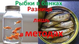 Методы выживания.