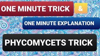 PHYCOMYCETS TRICK for NEET || Phycomymycets trick NCERT