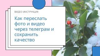 Как переслать фото и видео через телеграм и сохранить качество