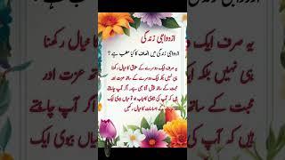 Azdawaji Zindagi #siratemustaqim #quotes #maritavlogs  #viral