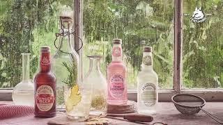 Fentimans World of Flavour (16s)