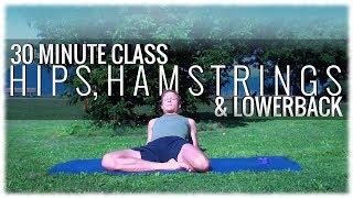 Hatha Yoga with David Procyshyn: A 30 Minute Class for Hips, Hamstrings and Lower Back