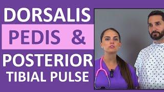 Dorsalis Pedis and Posterior Tibial Pulse Point Nursing Assessment