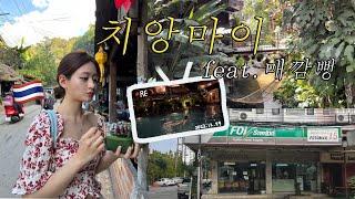 태국 여행 VLOG#2 이래서 치앙마이 한 달 살이 하는구나! | 매깜뻥 여행기 | 물 만난 웜벳들