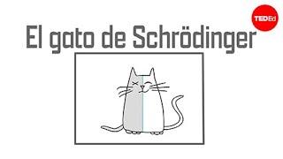 El gato de Schrödinger: Un experimento mental en mecánica cuántica - Chad Orzel