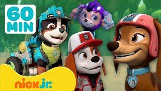 Psi Patrol | Poznajcie NOWYCH członków PSIEGO Patrolu! | Nick Jr. Polska