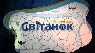 Гелловін у студії ТЕЛЕРАНОК СВІТАНОК | В чому схожість американських та українських традицій?