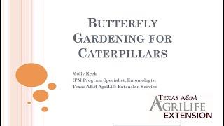 Butterfly Gardening For Caterpillars! *webinar Series*