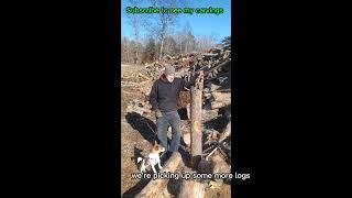 Getting logs for Carving #powercarving #woodworking #chainsawartist #woodcarving