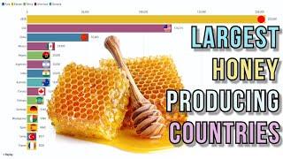 Largest honey producing countries