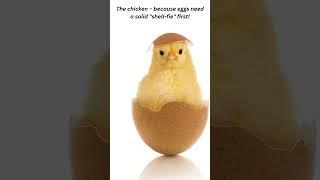 What comes first: chicken or egg? Ask a question | 6