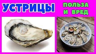 УСТРИЦЫ: польза и вред для человека + приготовим устрицы в мини духовке + суп из устриц