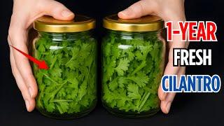 how to store cilantro for 1 year without spoilage – part 3