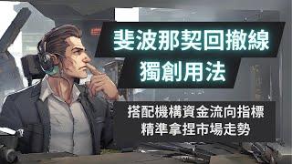 【真正能賺錢的策略】斐波那契最強使用方法 經過100次交易回測驗證