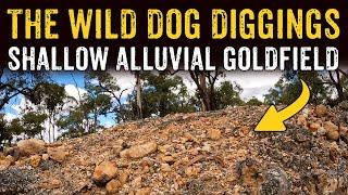 Come Check Out The WILD DOG DIGGINGS Near Dunolly