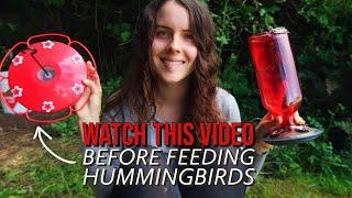 How to Feed & Attract Hummingbirds 101 // Feeder care, ethics, garden tips