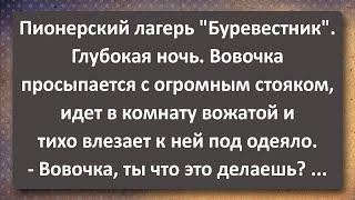 Пионерский Лагерь "Буревестник" Пятый Заезд! Сборник Самых Свежих Анекдотов! Юмор!