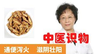 牛蒡茶的功效與作用【保健養生】生生不息