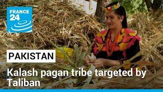 Pakistan's pagan Kalash tribe targeted by Taliban • FRANCE 24 English