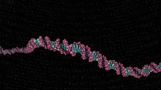 What is a Genome? (A 360 degree animation for Google Cardboard)