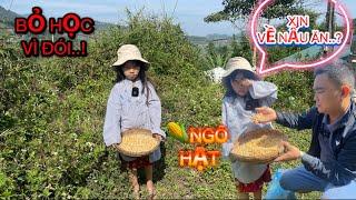 TRỜI ƠI..BÉ 'H' BỎ HỌC VÌ PHẢI ĐI XIN ĂN ( CON ĐÓI QUÁ)..BẤT NGỜ NGÔ HẠT CON XIN VỀ NẤU./.?