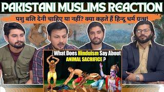 PAKISTANI MUSLIMS Reaction on सनातन धर्म में पशु बलि की अनुमति क्यों नहीं है? #sanatandharam #india