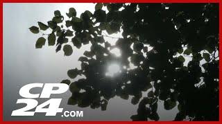 ‘Heat is going to attack us from every direction’: Dave Phillips Canada's summer forecast