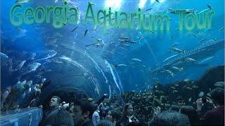 Georgia Aquarium Tour | The Largest Aquarium In The US & 4th Largest In The World!