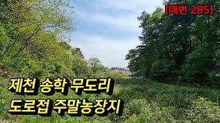 [매번 285 ] 제천땅 주말농장 농업경영 송학무도리 무도리땅 송학땅 도로접한땅 골자기땅