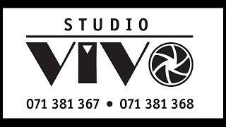 Studio " V I V O ", ORK Gjipsy Bend